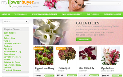 eCommerce web design
